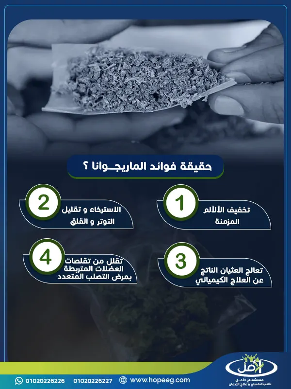 إذاً ما هي حقيقة فوائد الماريجوانا؟