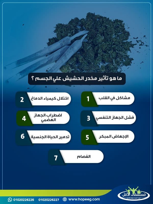 ما هو تأثير مخدر الحشيش علي الجسم ؟