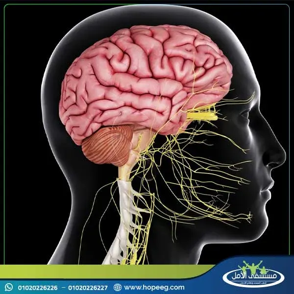 هل يمكن علاج ادمان ليريكا في المنزل؟