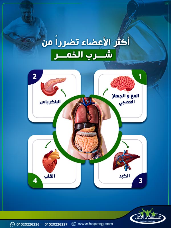 أكثر الأعضاء تضررًا من شرب الخمر