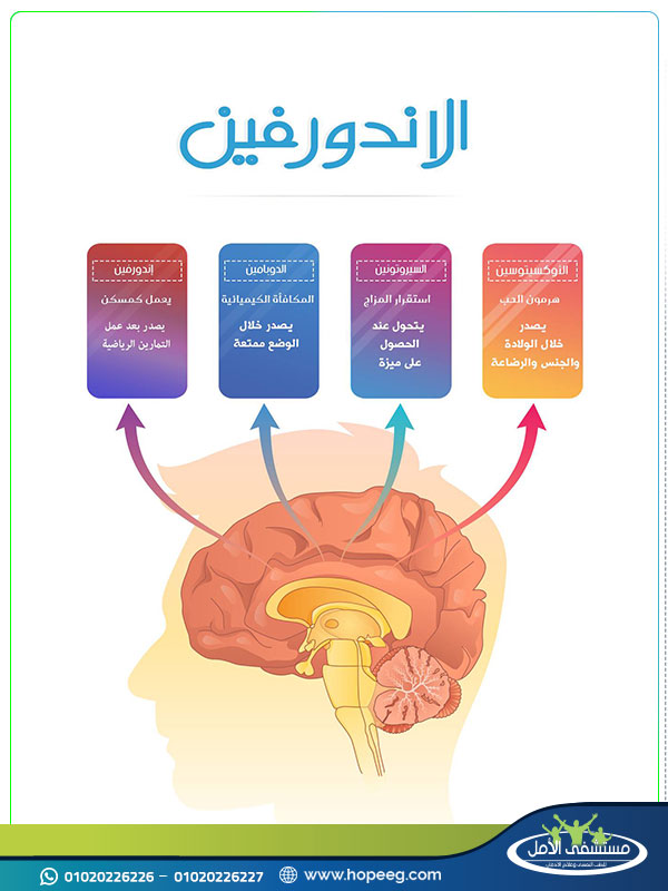 تأثير المخدرات على الجهاز العصبي بشكل عام 820259230