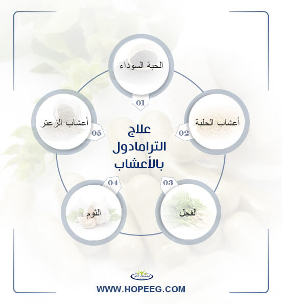 علاج الترامادول بالأعشاب