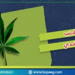 أسرار هامة حول القنب الهندي و7 تأثيرات حوله وكيف تتخلص من ادمانه؟