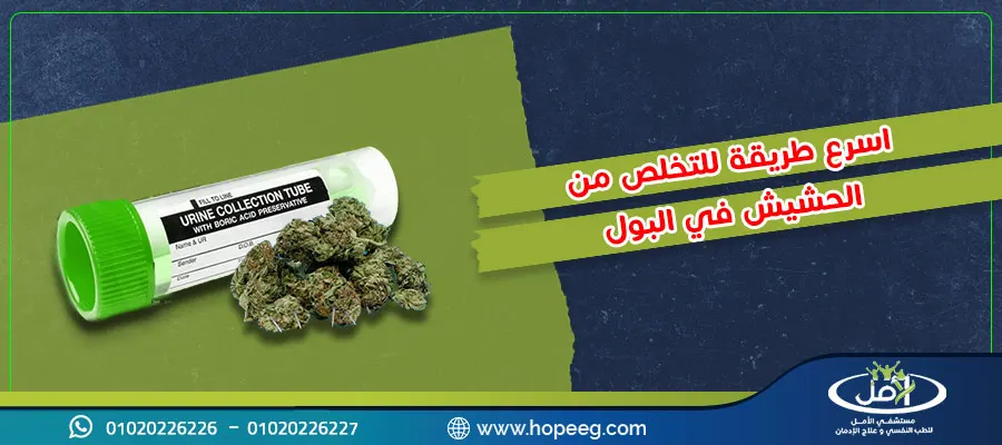 اسرع طريقة للتخلص من الحشيش في البول في 3 خطوات اكتشفها الان