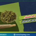 اليك أنواع الحشيش وأسرار حول الحشيش المعجون و4 خطوات للتخلص من ادمانه