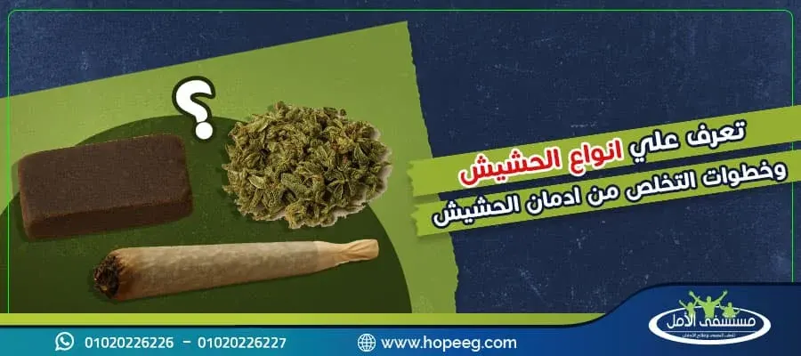 اليك أنواع الحشيش وأسرار حول الحشيش المعجون و4 خطوات للتخلص من ادمانه