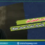 كيف يفكر مدمن الحشيش.. أفكار لا يعرفها الكثير وأسرار خفية تعرف عليها