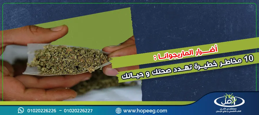 أضرار الماريجوانا 10 مخاطر خطيرة تهدد صحتك وحياتك